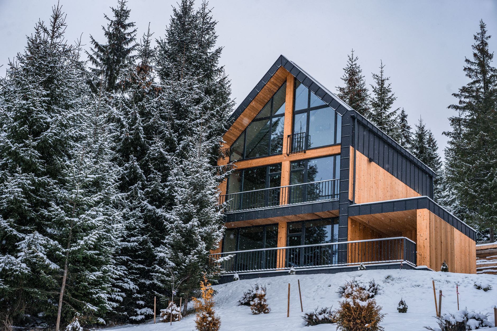 Alpine Minimalist Cabin